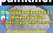 mediacongo
